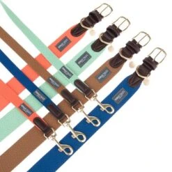 Collar Nomad Tales Bloom Menta Para Perros -Gatos Perros Suministros Tienda nomad tales bloom halsbaender fg 1502 2