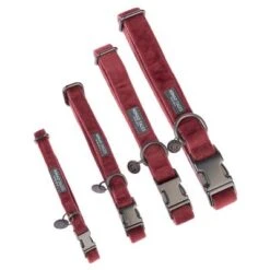 Collar Nomad Tales Blush Vino Para Perros 32 Collar Nomad Tales Blush Vino Para Perros -Gatos Perros Suministros Tienda nomad tales blush halsbaender fg 1317 0