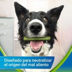 PURINA Dentalife Active Fresh Snacks Dentales Para Perros Medianos -Gatos Perros Suministros Tienda objective 8