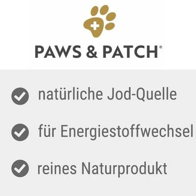 PAWS & PATCH Harina De Algas 4 PAWS & PATCH Harina De Algas - Imagen 2
