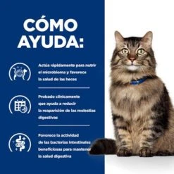 Hill's Gastrointestinal Biome Prescription Diet Estofado Para Gatos -Gatos Perros Suministros Tienda pd gibiome cat bk32326m bk31171 how helps es 2