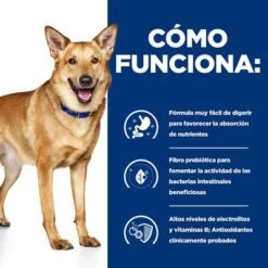 Hill's I/d Prescription Diet Digestive Care Estofado Para Perros -Gatos Perros Suministros Tienda pd id dog bk33557 how works es 1