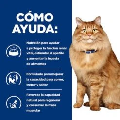 Hill's K/d + Mobility Prescription Diet Bolsitas Para Gatos 16 Hill's K/d + Mobility Prescription Diet Bolsitas Para Gatos -Gatos Perros Suministros Tienda pd kd mobility cat bk24069m bk27533m how helps es 4