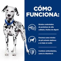Hill's U/d Prescription Diet Urinary Care Pienso Para Perros -Gatos Perros Suministros Tienda pd ud dog bk24705m bk31642 how works es 3
