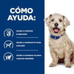 Hill's W/d Prescription Diet Diabetes Care Pienso Para Perros -Gatos Perros Suministros Tienda pd wd dog bk32587m bk27668 how helps es 2