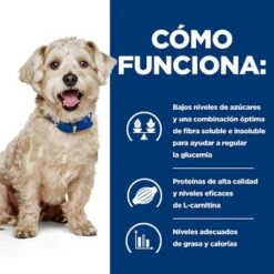Hill's W/d Prescription Diet Diabetes Care Pienso Para Perros -Gatos Perros Suministros Tienda pd wd dog bk32587m bk27668 how works es 2