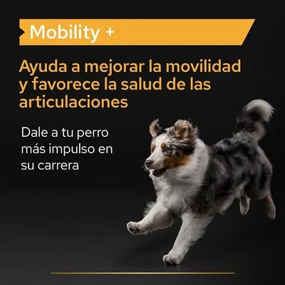 PRO PLAN Dog Adult Mobility Supplement En Polvo 6 PRO PLAN Dog Adult Mobility Supplement En Polvo - Imagen 4