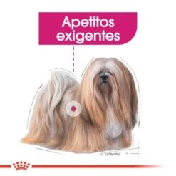 Royal Canin Mini Exigent -Gatos Perros Suministros Tienda rc ccn exigentmini cv eretailkit 2 es es 2