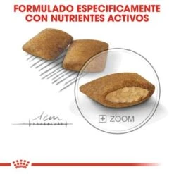Royal Canin Mini Exigent -Gatos Perros Suministros Tienda rc ccn exigentmini cv eretailkit 5 es es 3