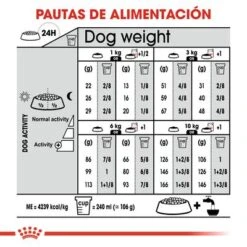 Royal Canin Mini Exigent -Gatos Perros Suministros Tienda rc ccn exigentmini cv eretailkit 7 es es 5