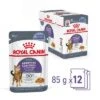Royal Canin Appetite Control Care En Gelatina -Gatos Perros Suministros Tienda rc fcn appetitecontrolpouchjelly 4 es es 9