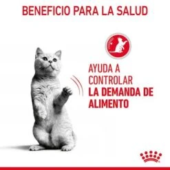 Royal Canin Appetite Control Care En Gelatina -Gatos Perros Suministros Tienda rc fcn appetitecontrolpouchjelly 6 es es 5