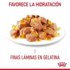 Royal Canin Appetite Control Care En Gelatina -Gatos Perros Suministros Tienda rc fcn appetitecontrolpouchjelly 7 es es 1