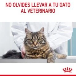 Royal Canin Hairball Care En Salsa -Gatos Perros Suministros Tienda rc fcn hairballpouchgravy 13 es es 3