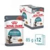 Royal Canin Hairball Care En Salsa 2 Royal Canin Hairball Care En Salsa -Gatos Perros Suministros Tienda rc fcn hairballpouchgravy 4 es es 0