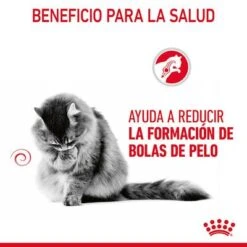 Royal Canin Hairball Care En Salsa -Gatos Perros Suministros Tienda rc fcn hairballpouchgravy 6 es es 4