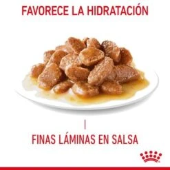 Royal Canin Hairball Care En Salsa -Gatos Perros Suministros Tienda rc fcn hairballpouchgravy 7 es es 3