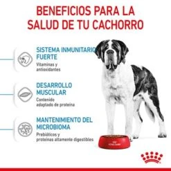 Royal Canin Giant Junior 15 Royal Canin Giant Junior -Gatos Perros Suministros Tienda rc spt dry giantjunior cv 3 es es 1