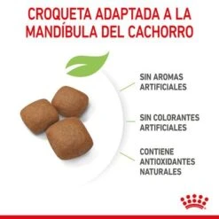 Royal Canin Giant Junior 17 Royal Canin Giant Junior -Gatos Perros Suministros Tienda rc spt dry giantjunior cv 4 es es 2