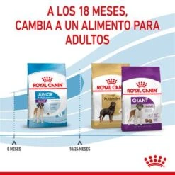 Royal Canin Giant Junior 21 Royal Canin Giant Junior -Gatos Perros Suministros Tienda rc spt dry giantjunior cv 5 es es 0