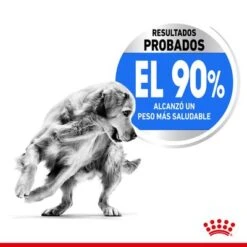 Royal Canin Maxi Light Weight Care -Gatos Perros Suministros Tienda rc spt dry lightweightmaxi cv 2 es es 1 2