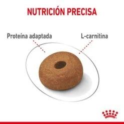 Royal Canin Maxi Light Weight Care -Gatos Perros Suministros Tienda rc spt dry lightweightmaxi cv 3 es es 1 2