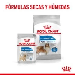 Royal Canin Maxi Light Weight Care -Gatos Perros Suministros Tienda rc spt dry lightweightmaxi cv 4 es es 1 1