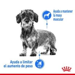 Royal Canin Mini Light Weight Care 12 Royal Canin Mini Light Weight Care -Gatos Perros Suministros Tienda rc spt dry lightweightmini cv 1 es es 1 6