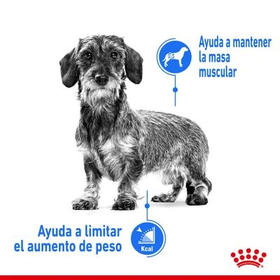 Royal Canin Mini Light Weight Care 5 Royal Canin Mini Light Weight Care - Imagen 3