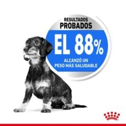 Royal Canin Mini Light Weight Care 13 Royal Canin Mini Light Weight Care -Gatos Perros Suministros Tienda rc spt dry lightweightmini cv 2 es es 1 4