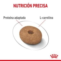 Royal Canin Mini Light Weight Care 14 Royal Canin Mini Light Weight Care -Gatos Perros Suministros Tienda rc spt dry lightweightmini cv 3 es es 1 2