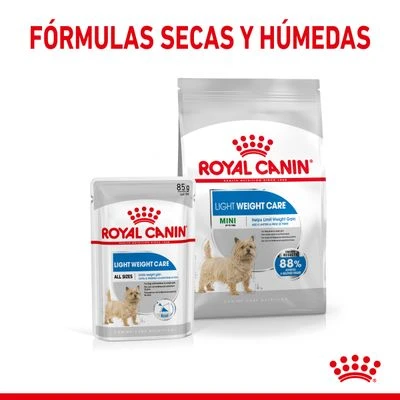 Royal Canin Mini Light Weight Care 8 Royal Canin Mini Light Weight Care - Imagen 6