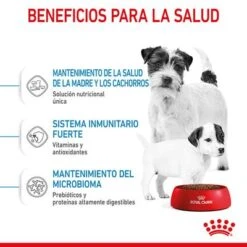 Royal Canin Mini Starter 16 Royal Canin Mini Starter -Gatos Perros Suministros Tienda rc spt dry ministart cv 3 es es 6