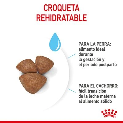 Royal Canin Mini Starter 11 Royal Canin Mini Starter - Imagen 9