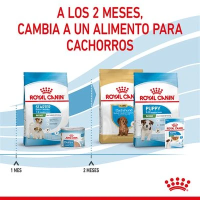 Royal Canin Mini Starter 13 Royal Canin Mini Starter - Imagen 11
