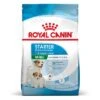 Royal Canin Mini Starter -Gatos Perros Suministros Tienda rc spt dry ministart mv 2 es es 2