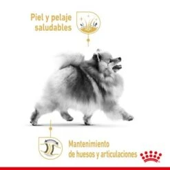 Royal Canin Breed Pomerania Adult -Gatos Perros Suministros Tienda rc spt dry pomad cv 1 es es 1