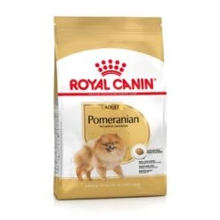 Los recién llegados -Gatos Perros Suministros Tienda rc spt dry pomad mv 2 de de 3