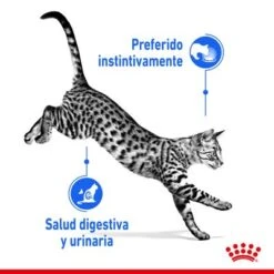 Royal Canin Indoor Sterilised En Salsa -Gatos Perros Suministros Tienda rc spt wet indstergravy cv 1 es es 8