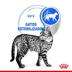 Royal Canin Indoor Sterilised En Salsa -Gatos Perros Suministros Tienda rc spt wet indstergravy cv 2 es es 5