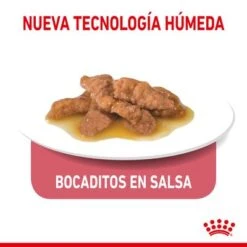 Royal Canin Indoor Sterilised En Salsa -Gatos Perros Suministros Tienda rc spt wet indstergravy cv 3 es es 0