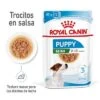 Royal Canin Mini Puppy En Salsa Para Perros -Gatos Perros Suministros Tienda rc spt wet minipuppy mv 1 es es 0