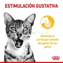 Royal Canin Sensory Taste En Salsa -Gatos Perros Suministros Tienda rc spt wet senstastecig cv 1 es es 5