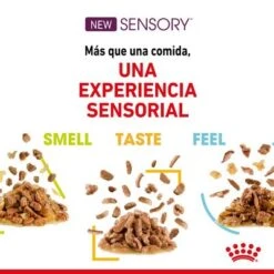 Royal Canin Sensory Taste En Salsa -Gatos Perros Suministros Tienda rc spt wet senstastecig cv 2 es es 8
