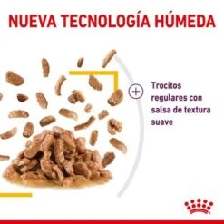 Royal Canin Sensory Taste En Salsa -Gatos Perros Suministros Tienda rc spt wet senstastecig cv 3 es es 9