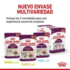 Royal Canin Sensory Taste En Salsa -Gatos Perros Suministros Tienda rc spt wet senstastecig cv 4 es es 0