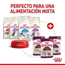 Royal Canin Sensory Taste En Salsa -Gatos Perros Suministros Tienda rc spt wet senstastecig cv 5 es es 1