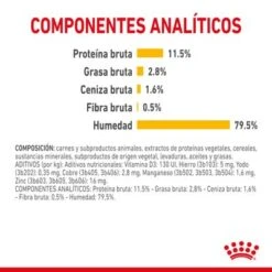 Royal Canin Sensory Taste En Salsa -Gatos Perros Suministros Tienda rc spt wet senstastecig cv 6 es es 2