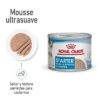 Royal Canin Starter Mousse -Gatos Perros Suministros Tienda rc spt wet startermousse can mv 1 es es 1