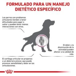 Royal Canin Veterinary Canine Mobility Support Pienso Para Perros 10 Royal Canin Veterinary Canine Mobility Support Pienso Para Perros -Gatos Perros Suministros Tienda rc vet dry dogmob cv eretailkit 2 es es 9